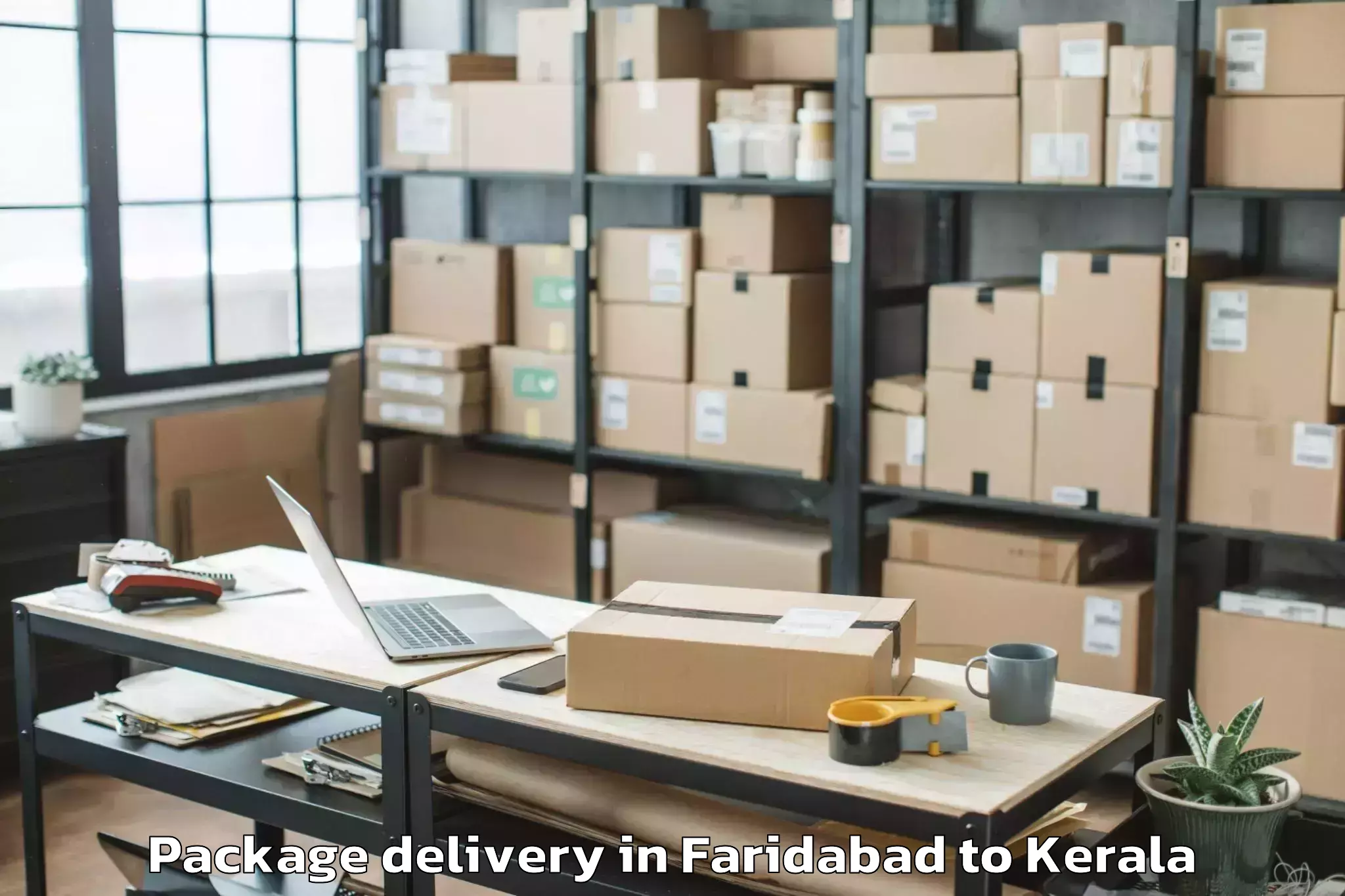 Quality Faridabad to Poojapura Package Delivery